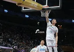 山东高速CBA击败新疆广汇高诗岩反击得分的简单介绍